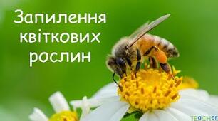 Запилення квіткових рослин. (6 клас &35)