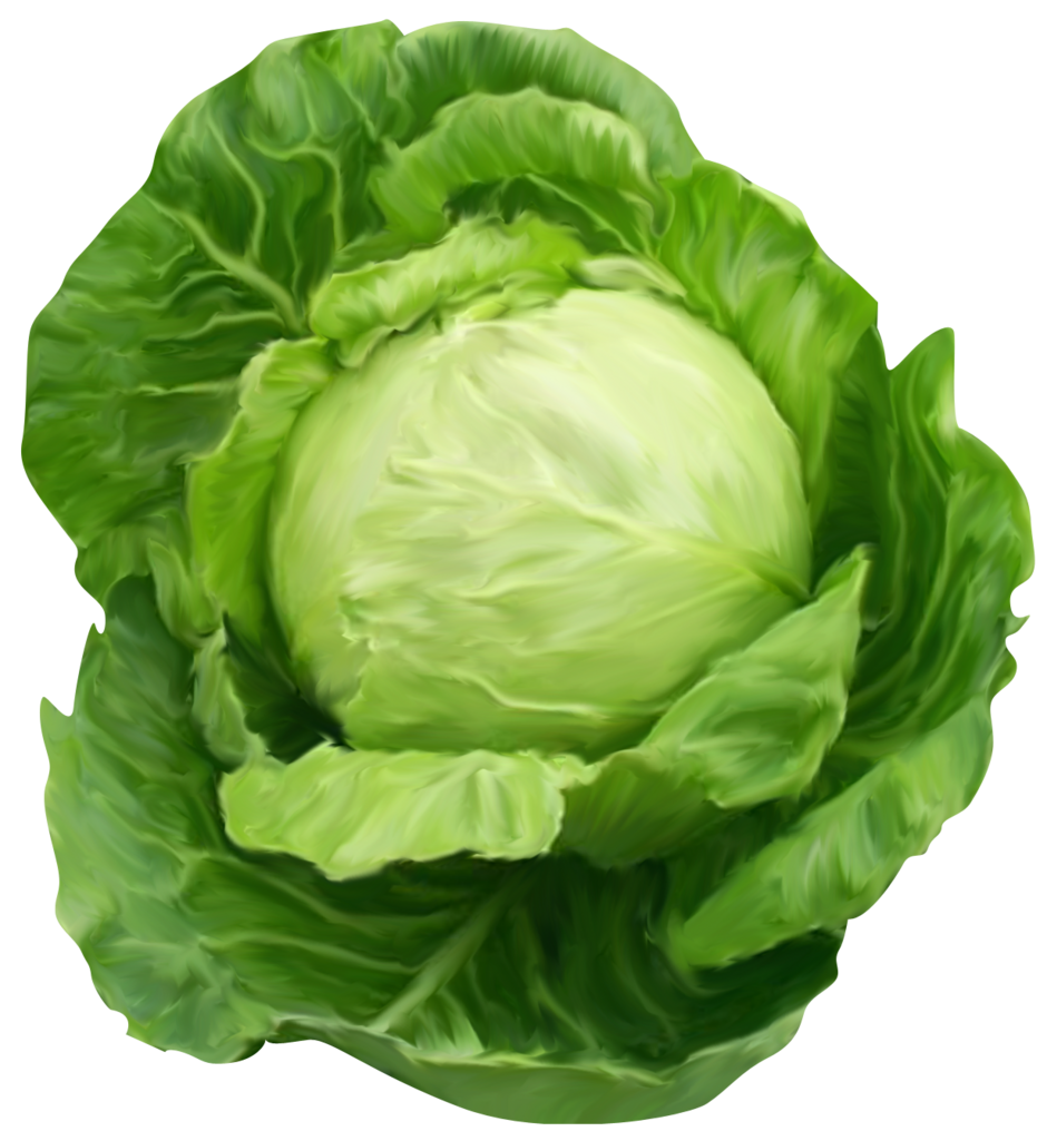 04017cap-b9f7-940x1025.png