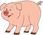 04017ccx-e966-148x122.png