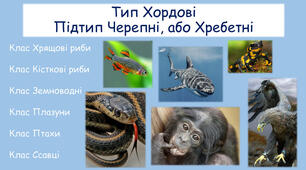 Хребетні тварини