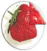 04017d18-8a9b-95x104.png