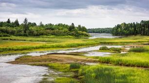 Презентація " Болота, їх типи, поширення. Водосховища й канали. Підземні води. Водні ресурси України"