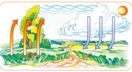 04017fd3-18f3-445x244.png