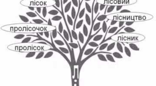 Словотвір. Орфографія