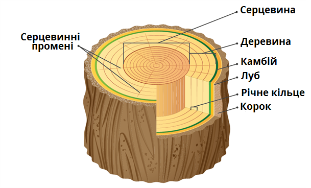 04017fsg-f641-609x368.png