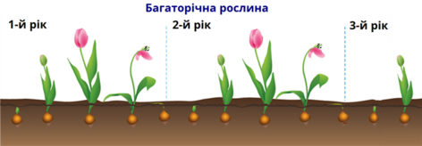 04017g2s-66ef-472x164.png