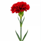 04017idd-8060-138x138.png