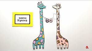 Закон Кулона