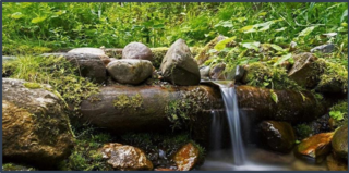 04017j6p-5f0e-320x159.png