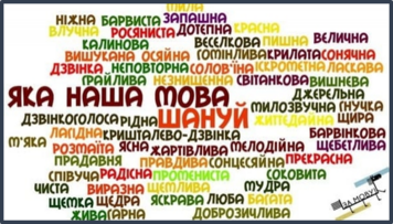 04017j6u-096b-356x203.png