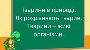 Тварини в природі. Як розрізняють  тварин. Тварини живі організми.