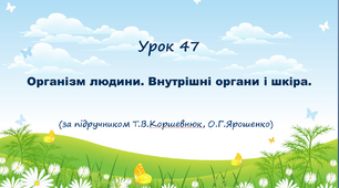 Презентація до уроку. Організм людини. Внутрішні органи і шкіра.(за підручником Т.В.Коршевнюк, О.Г.Ярошенко)
