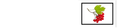 04017l6o-df84-497x122.png