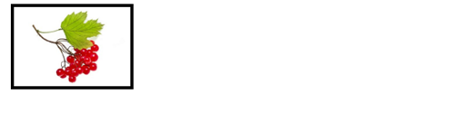 04017l6v-edbb-496x125.png