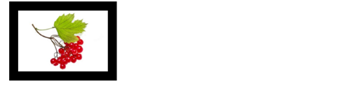 04017l6x-f04d-496x127.png