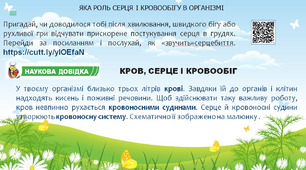 Презентація до уроку. Серце, судини і кровообіг. Тренування серця (за підручником Т.В.Коршевнюк, О.Г.Ярошенко)