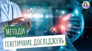 Класичні методи генетичних досліджень. Генотип та фенотип. Алелі.