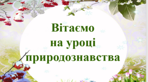 презентація про тварин, яка дає новому покоління норми про тварин, та все