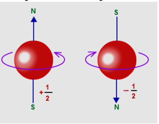 04017syn-b033-518x403.png