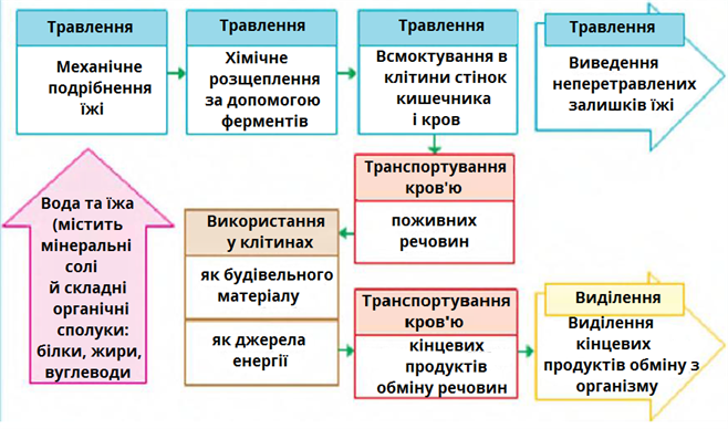 травлення.png