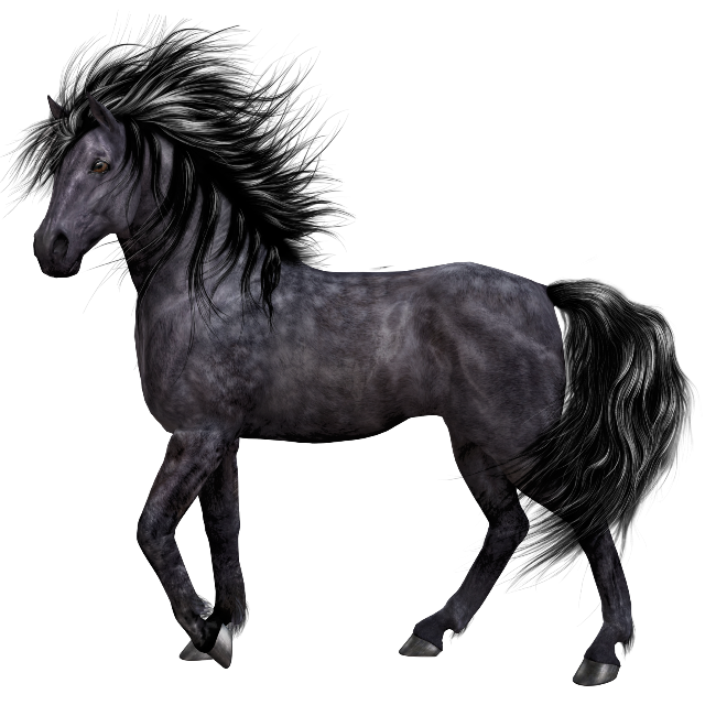 04017w11-2753-650x650.png