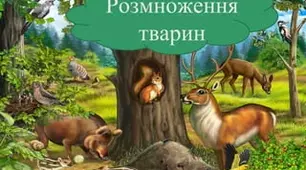 7а Розмноження тварин. 