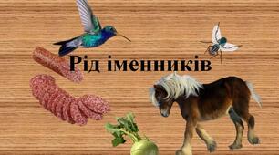 Рід іменників