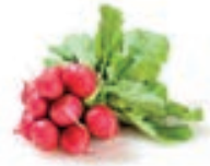 04017ynv-c738-192x152.png