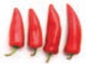 04017ynz-e343-173x138.png