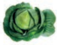 04017yod-4491-186x149.png
