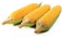 04017yor-c3d8-216x132.png