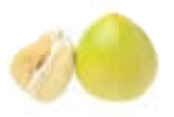 04017yov-12b5-174x117.png