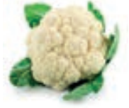 04017yp9-790b-182x152.png