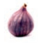 04017ypv-aa62-141x157.png
