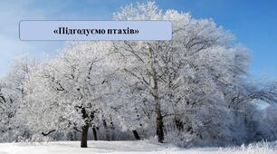 Презентація на тему: «Підгодуємо птахів»