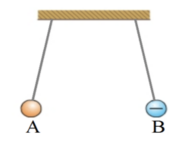 040181ga-76f1-170x141.png