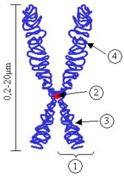 04018227-e67a-180x258.png