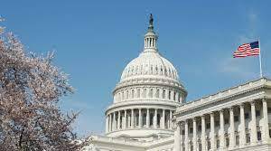 Презентація-урок "Government institutions in the USA" (Part 16)