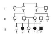 040186uu-2ea1-188x125.jpg