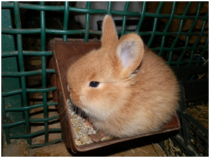 040188f1-f9b8-210x158.png