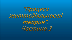 Тест біологія 7 клас. "Процеси життєдіяльності тварин". Частина 3