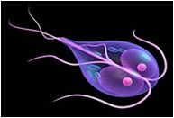 04018989-0c9a-193x131.png