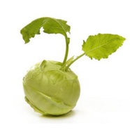 040189vh-8881-186x186.png