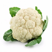 040189vq-e633-183x183.png