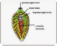 04018d2l-676b-202x162.png