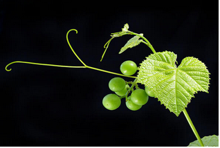 04018dyx-7eed-318x214.png