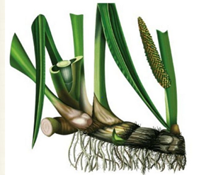 04018e6q-d336-281x247.png