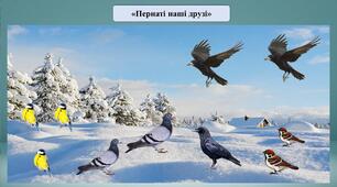 Презентація на тему: «Пернаті наші друзі»