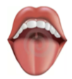 04018eei-37b5-102x112.png