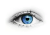04018eeu-1774-162x116.png